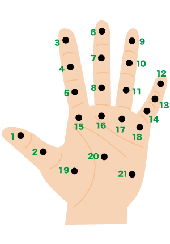 hand_ALL_w170.png